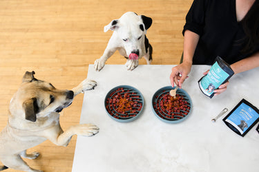 Everyday Joint Support