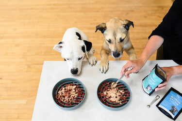 Everyday Joint Support