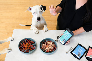 Everyday Joint Support