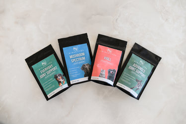 Everyday Joint Support